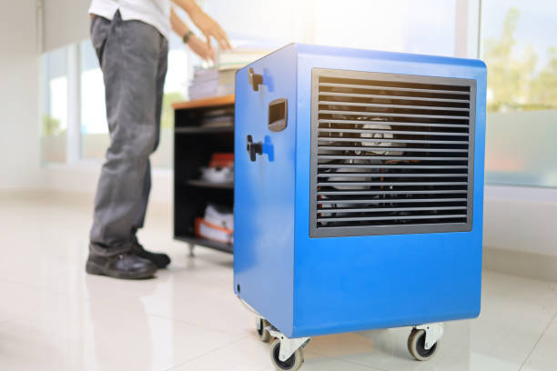 Best Mold Odor Removal Services  in Grafton, WV